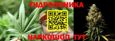 гидропоника Нягань