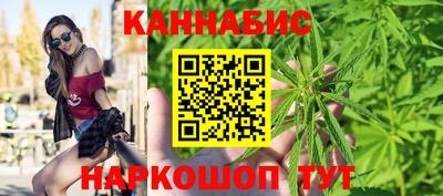 СК Обь