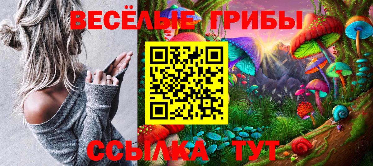 Сорочинск  Галлюциногенные грибы Psilocybe  Вход с VPN  где можно купить   Псилоцибиновые грибы Psilocybe 